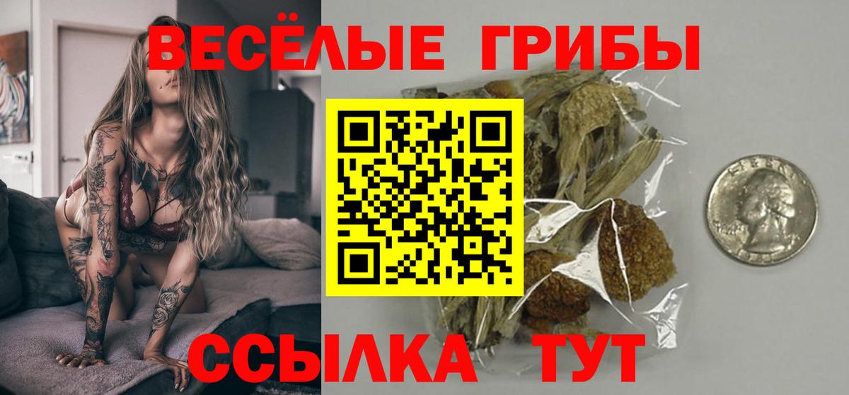 Галлюциногенные грибы GOLDEN TEACHER Добрянка